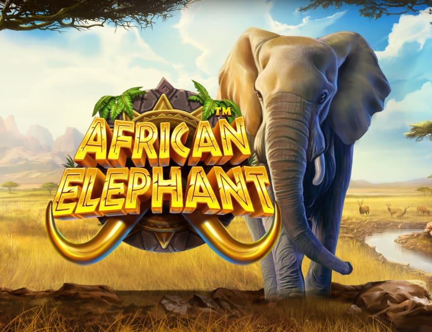 Pin Up Online Casino Oyunu İncelemesi: Türkiye’de Nasıl Oynanır?